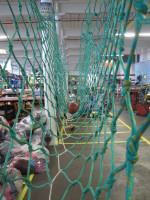Net as it is now