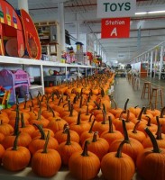 What do pumpkins have to do with Early Literacy?