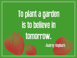 To-Plant-a-Garden-is-to-Believe-in-Tomorrow-Audrey-Hepburn