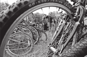 Local bicycles sprung from the slammer!