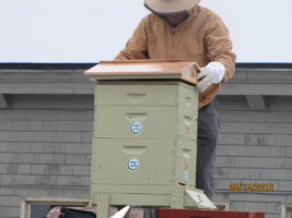 Bee Keeper Bill installing 25,001 new volunteers