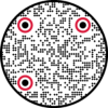 GiftsToGive_website_QR